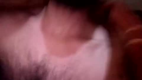 Snapshot of mrdark01 chatting on February 2026 01:57:02 AM mrdark01 online show from February 2026 01:57:02 AM