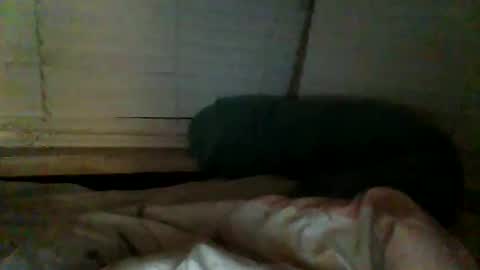 mrgray11xxx aussie online show from December 2024 02:38:01 PM