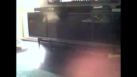 Snapshot of mrhandsomelovee chatting on January 2025 12:15:02 PM Nikola online show from January 2025 12:15:02 PM