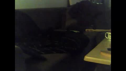 Snapshot of mrhandsomelovee chatting on January 2025 12:01:02 PM Nikola online show from January 2025 12:01:02 PM