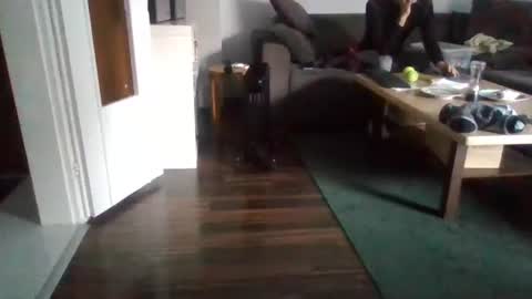 Snapshot of mrhandsomelovee chatting on February 2025 11:02:02 AM Nikola online show from February 2025 11:02:02 AM