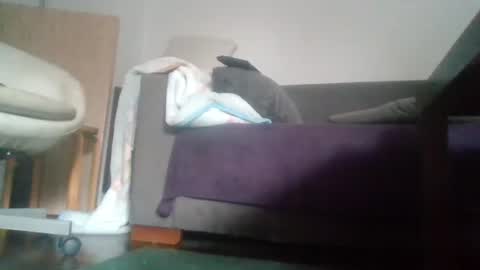 Snapshot of mrhandsomelovee chatting on October 2025 09:54:01 AM Nikola online show from October 2025 09:54:01 AM