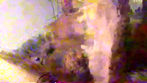 mrkoterz online show from April 2026 10:19:02 AM