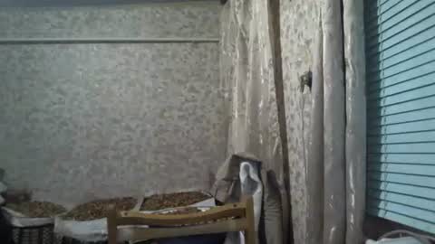 mrlike2020 online show from December 2025 08:51:01 PM