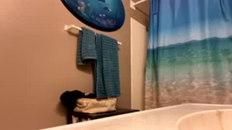 James online show from February 2026 01:59:02 AM