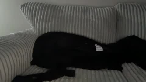 Mr Ryan Voss online show from December 2024 10:01:01 PM