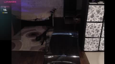 Sasha online show from December 2024 05:42:02 AM