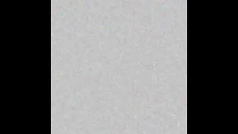 Mr Suction online show from December 2025 12:47:02 PM