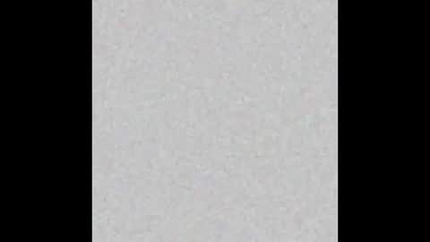 Mr Suction online show from December 2025 12:01:02 PM