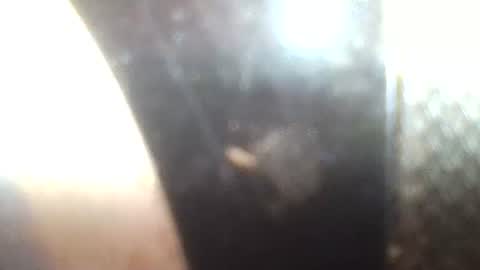 Mrs Venus online show from January 2025 02:36:01 PM