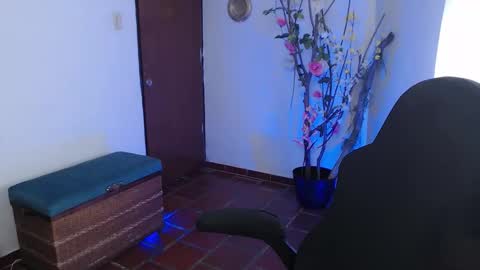 Sofia online show from March 2026 04:46:01 PM