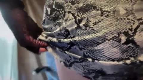 mskarentoy online show from October 2025 07:55:01 PM