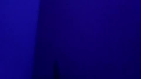 mt220 online show from December 2024 04:42:01 AM