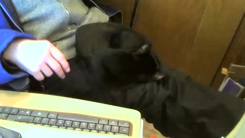 muller520 online show from February 2025 04:46:01 PM