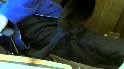 muller520 online show from February 2025 03:18:02 PM