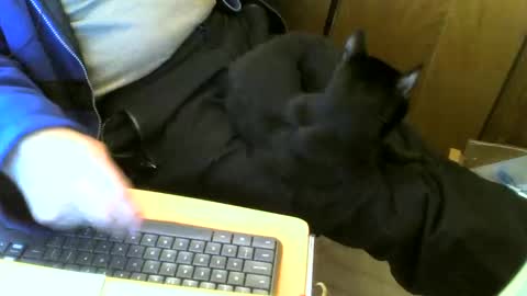 muller520 online show from March 2025 11:39:02 AM