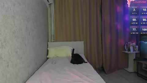 musemelody online show from January 2026 09:29:01 PM