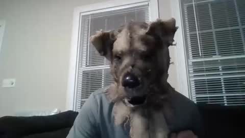 Snapshot of my_banana_creampies chatting on February 2026 12:51:02 AM my_banana_creampies online show from February 2026 12:51:02 AM