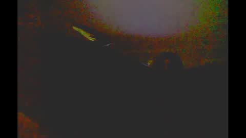 myassfatsowhat online show from January 2025 04:58:02 AM