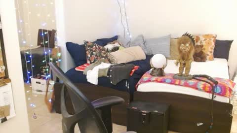 Snapshot of mycock4u247 chatting on February 2025 05:41:01 AM LA MARIPOSA DE MARICOPA online show from February 2025 05:41:01 AM