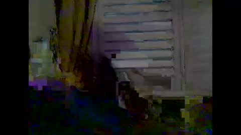 mycockissohard2021 online show from May 2026 03:55:02 AM