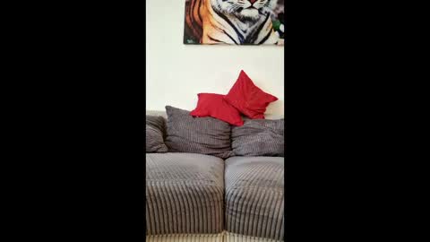 myrostus online show from March 2026 02:45:01 PM