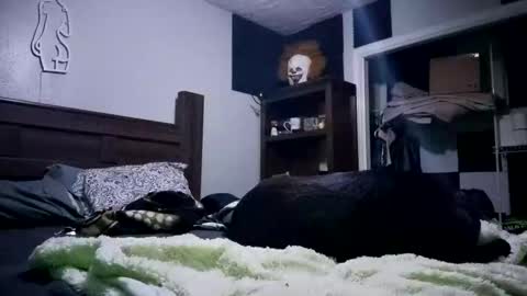 Snapshot of nackjamesontag69 chatting on February 2026 09:35:02 AM nackjamesontag69 online show from February 2026 09:35:02 AM