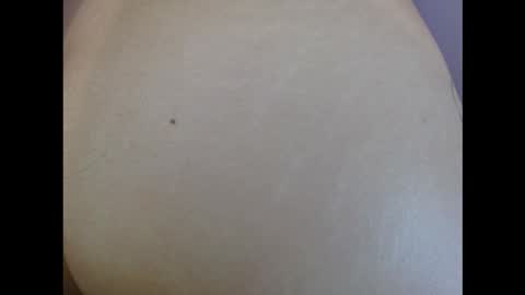    online show from March 2026 03:11:01 AM