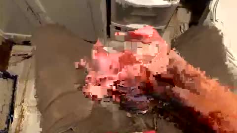 nairda2senoniuq online show from December 2025 01:45:01 AM