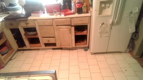 Snapshot of nakednate1780 chatting on December 2024 02:23:02 PM nakednate1780 online show from December 2024 02:23:02 PM