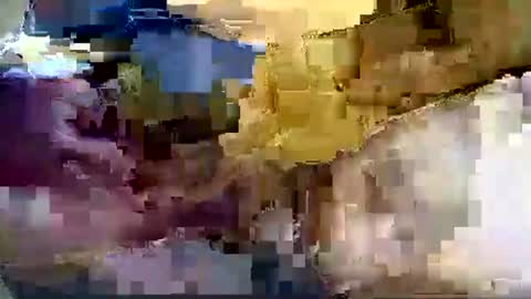 Nane online show from January 2026 12:51:01 PM