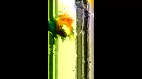 nano527 online show from January 2026 06:08:01 AM