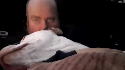 Snapshot of nastysubs69 chatting on December 2025 02:11:01 PM nastysubs69 online show from December 2025 02:11:01 PM