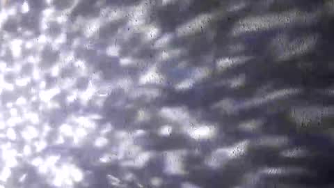 Snapshot of nastysubs69 chatting on December 2025 09:49:01 AM nastysubs69 online show from December 2025 09:49:01 AM