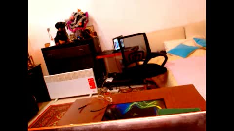 Snapshot of natali7634 chatting on January 2025 09:15:02 AM natali online show from January 2025 09:15:02 AM
