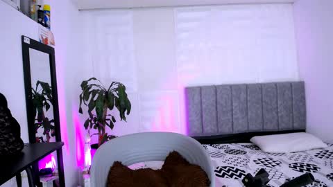 NATALY online show from December 2024 07:50:02 PM