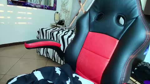 Kitten online show from February 2026 11:32:01 AM