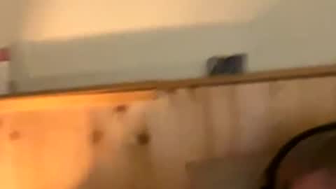 Naughtydaddy36 online show from November 2025 10:36:01 PM