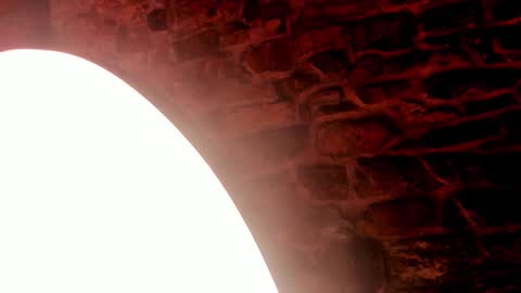 NEBULA  online show from December 2025 01:51:01 PM