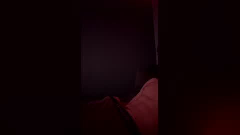 Snapshot of nc9800 chatting on March 2026 09:53:02 PM nc9800 online show from March 2026 09:53:02 PM