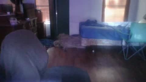 ned is naughty online show from June 2026 12:31:01 AM