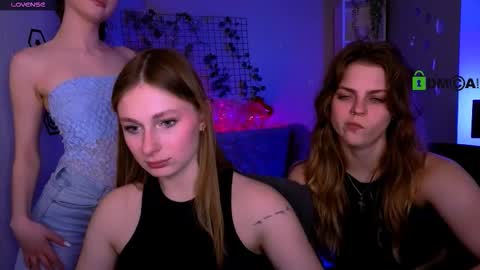 Meow online show from February 2026 12:28:01 PM