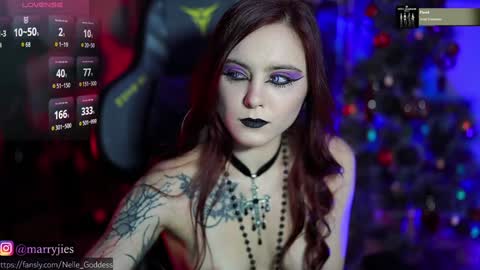 Snapshot of nelle_ chatting on December 2024 10:23:02 AM online show from December 2024 10:23:02 AM