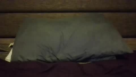 Nerfylil online show from January 2026 04:37:02 AM