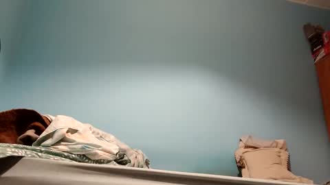 nes90b online show from October 2025 04:59:02 AM