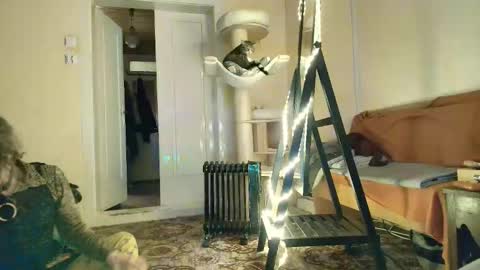 nessieanalemma online show from February 2026 12:43:02 PM