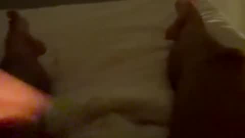 new25cam online show from January 2026 03:52:02 AM