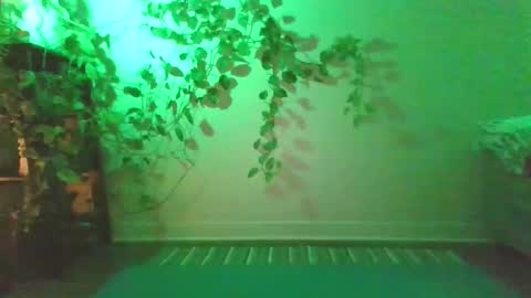 luna online show from December 2024 10:48:01 PM