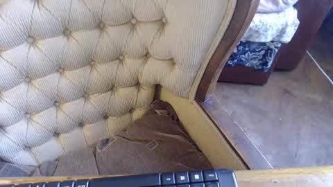 Lilly  online show from February 2025 11:11:01 AM