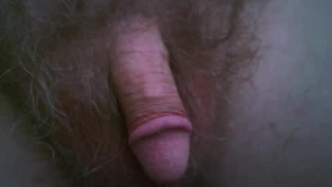 newc09 online show from September 2025 07:35:01 PM